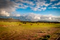 Barbed wire closing a desert field Royalty Free Stock Photo