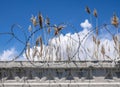 Barbed wire on the cocrete wall with blue sky and clouds Royalty Free Stock Photo