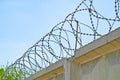 Barbed wire on concrete fence