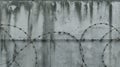 Barbed Wire on Concrete Wall Royalty Free Stock Photo