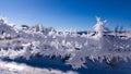 Barbed wire covered with ice crystals. Severe cold in the winter Royalty Free Stock Photo