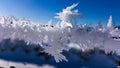 Barbed wire covered with ice crystals. Severe cold in the winter Royalty Free Stock Photo