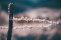 Barbed wire covered with ice crystals. Severe cold in the winter Royalty Free Stock Photo