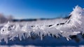 Barbed wire covered with ice crystals. Severe cold in the winter Royalty Free Stock Photo