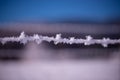 Barbed wire covered with ice crystals. Severe cold in the winter Royalty Free Stock Photo