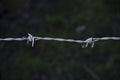 Barbed wire Royalty Free Stock Photo