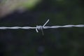 Barbed wire Royalty Free Stock Photo