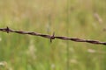 Barbed wire detail with grassy background