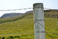 Barbed wire and detail of wooden stake boundary of pasture