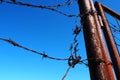 Barbed wire, double wire, metal tape with sharp spikes for barriers. Rusty barbed wire against the blue sky. The concept Royalty Free Stock Photo