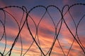 Barbed wire on dramatic sky background at sunset Royalty Free Stock Photo
