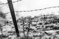 Barbed wire on the edge of a cliff. Concept of limiting individual freedom Royalty Free Stock Photo