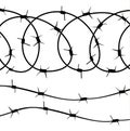 Barbed Wire elements