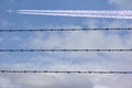 Barbed wire entanglement taken against a blue sky background Royalty Free Stock Photo