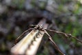 Barbed wire falen fence post