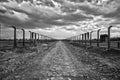 Barbed wire and fance around a camp. Road of dead for deportation prisoners.