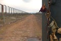 Barbed wire and fance around a concentration camp. Side entrance of the concentration camp. whit dry rose Royalty Free Stock Photo