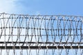 barbed wire fence Royalty Free Stock Photo