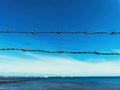 Barbed wire fence against blue sky, imprisonment and captivity concept