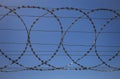 Barbed wire fence against clear blue sky Royalty Free Stock Photo
