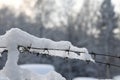 Barbed wire on the fence against light background in the winter cloudy day. Royalty Free Stock Photo