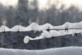 Barbed wire on the fence against light background in the winter cloudy day. Royalty Free Stock Photo