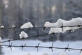 Barbed wire on the fence against light background in the winter cloudy day. Royalty Free Stock Photo