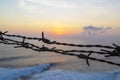 Barbed wire fence against sunset sky and sea Royalty Free Stock Photo