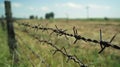 Barbed wire fence around the perimeter of the farmland close up Royalty Free Stock Photo