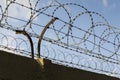 Barbed wire fence around prison walls blue sky Royalty Free Stock Photo