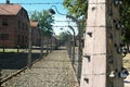 Auschwitz concentration camp - barbwire fence - full culour