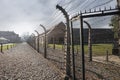 Barbed wire fence at Auschwitz I -  former German Nazi Concentration and Extermination Camp - Poland Royalty Free Stock Photo