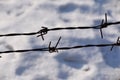 A barbed wire fence at Unit 731 with a backdrop of snow in Harbin, China Royalty Free Stock Photo