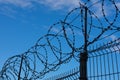 Barbed wire fence on background with blue sky and white clouds. Concept Royalty Free Stock Photo