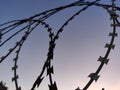 Barbed wire fence background Royalty Free Stock Photo