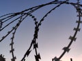 Barbed wire fence background Royalty Free Stock Photo