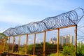 Barbed wire fence Royalty Free Stock Photo