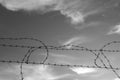 Barbed wire fence in black and white Royalty Free Stock Photo