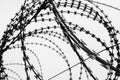Barbed wire fence. black and white filter. Royalty Free Stock Photo