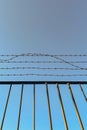 Barbed wire fence with blue sky background, security and protection concept. Royalty Free Stock Photo