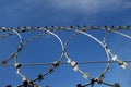 Barbed wire fence and blue sky Royalty Free Stock Photo
