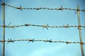 Barbed wire. Barbed wire on fence with blue sky to feel worrying. Royalty Free Stock Photo