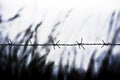 Barbed wire on fence with blue sky to feel worrying. Royalty Free Stock Photo