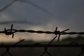 Barbed wire fence, close-up, against the background of dusk. There is room for text, copy space. Royalty Free Stock Photo