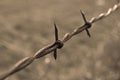 Barbed wire fence Royalty Free Stock Photo