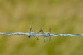 Barbed wire fence in a close-up with green blurred nature Royalty Free Stock Photo
