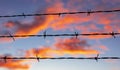 Barbed Wire Fence Close Up At Sunrise Royalty Free Stock Photo