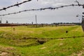 Barbed wire fence in concentration camp Auschwitz - Birkenau, Poland Royalty Free Stock Photo