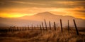 Barbed Wire Fence in the Countryside Royalty Free Stock Photo