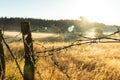 Barbed wire fence in the countryside. Valley sunrise. Sun Rays with dew drop on barbed wire fence and dry grass. Fog in the hill Royalty Free Stock Photo